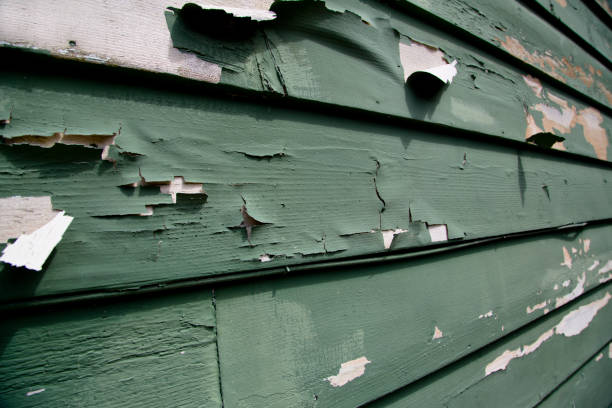 Affordable Siding Repair and Maintenance Services in San Elizario, TX